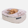 (S) Premium Indoor/Outdoor Dog Bed (Cappuccino)