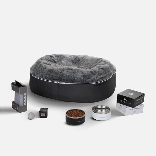 Large Dog Essentials Pack