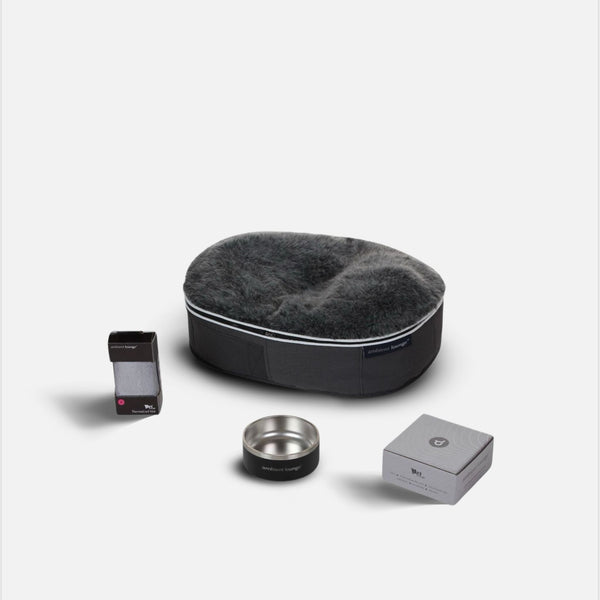 Small Dog Essentials Pack