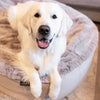 Large Rebound Foam Mattress Dog Bed - Interior/Outdoor