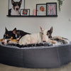Large Rebound Foam Mattress Dog Bed - Interior/Outdoor