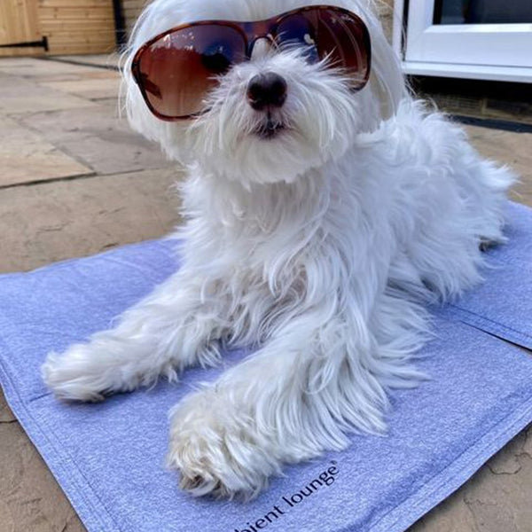 (S) ThermoCool Multi-Purpose Dog Mat